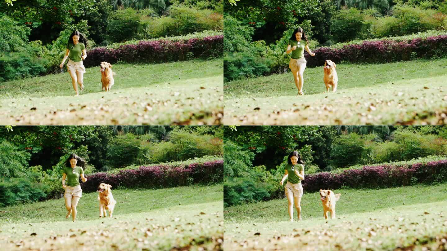 可爱金毛犬和女主人奔跑在夏日阳光公园草地