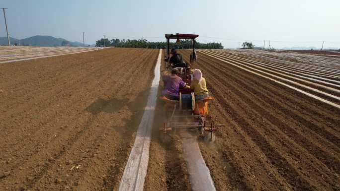 机械化土豆种植