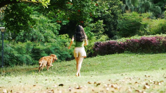 美女和金毛犬在公园里跑步遛狗