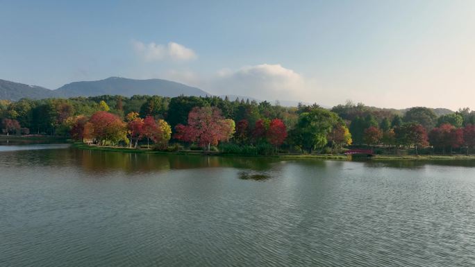 航拍南京中山陵前湖公园秋季景色