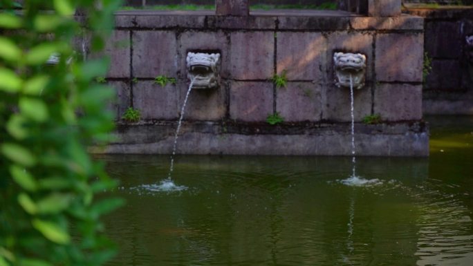 景观池龙头吐水