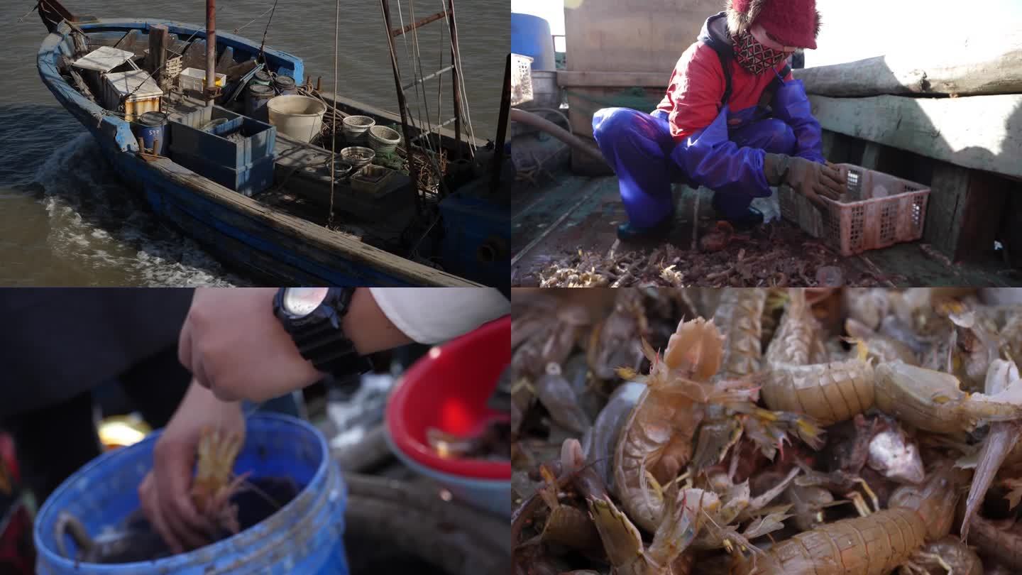 海洋捕捞皮皮虾