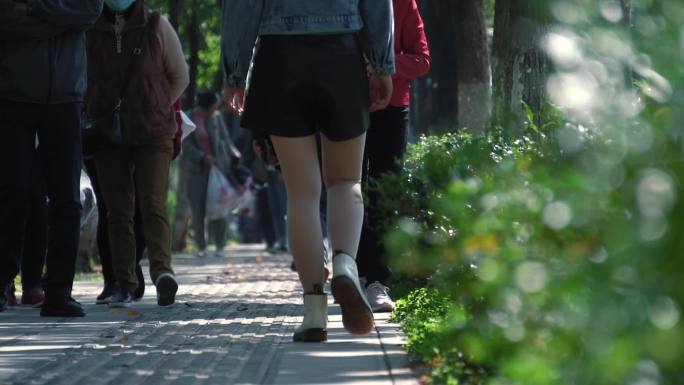 城市林荫人行道