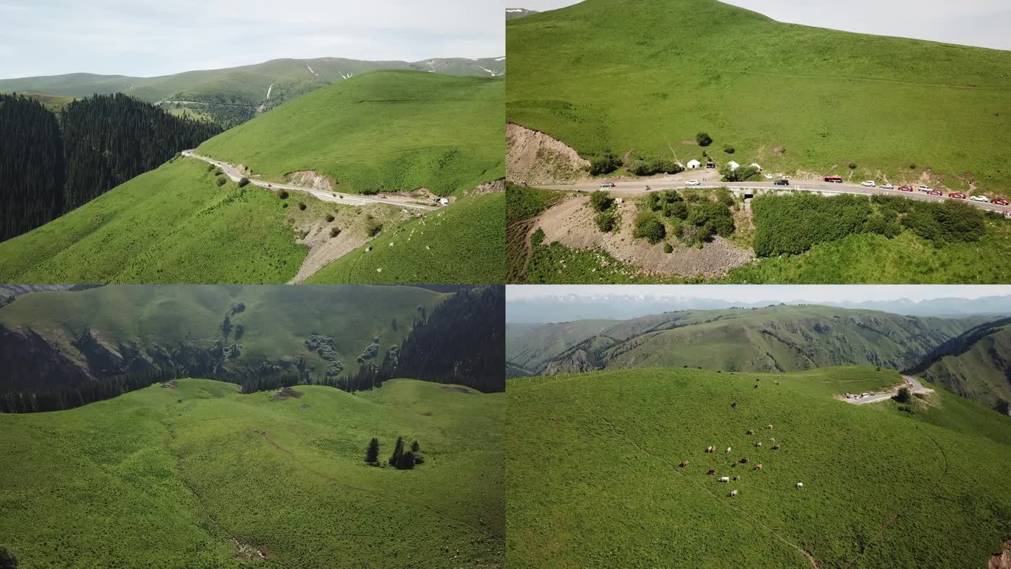 新疆草原山绿色牛羊航拍 4K 30帧
