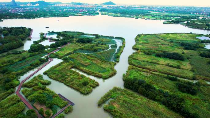 4K原创生态湿地保护区