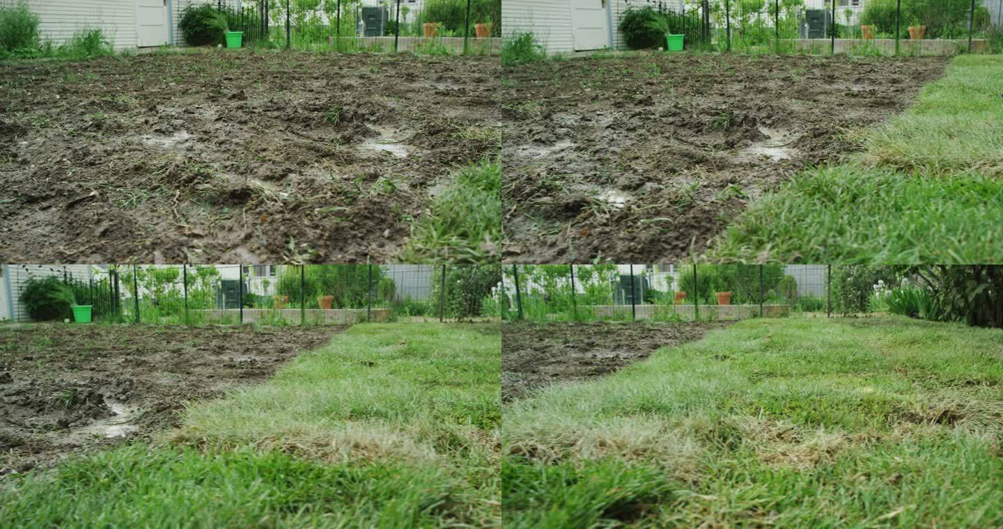 摄像机从一个泥泞的后院移动到一个住宅后院中新铺草皮的区域