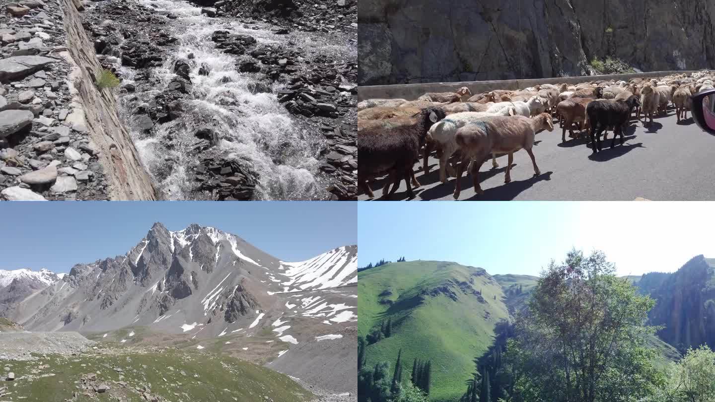 新疆独库公路山路延时河流羊群 高清30帧