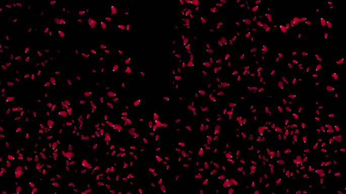 飞舞的玫瑰花瓣背景，可循环，4K Alpha频道，红玫瑰花