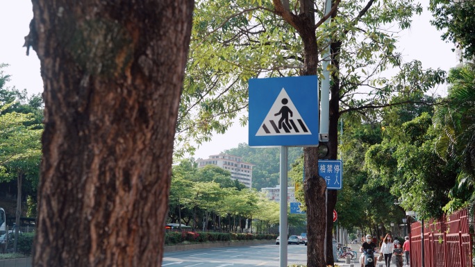 城市交通标识路标实拍