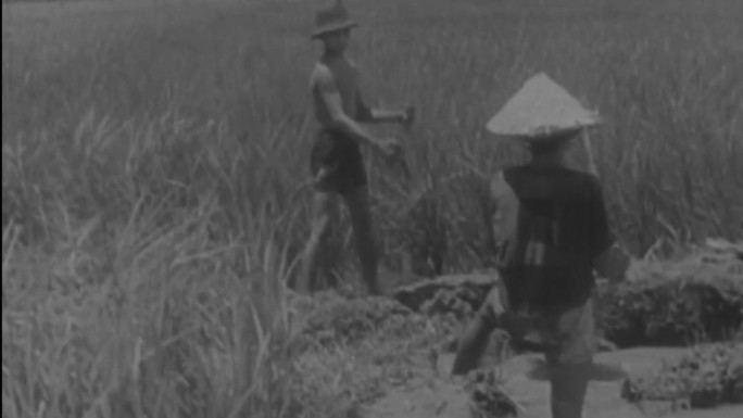 日本20世纪初的农业