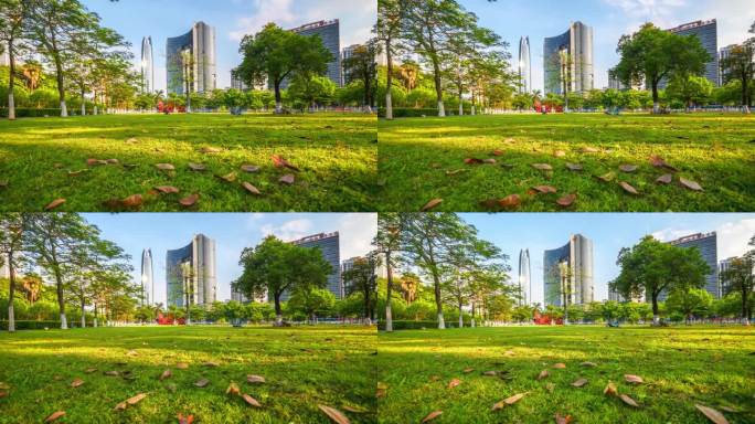 4K东莞中心公园延时