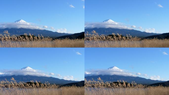 秋天的川口湖山富士