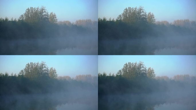 河道的雾与树