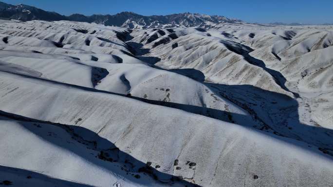 天山雪原