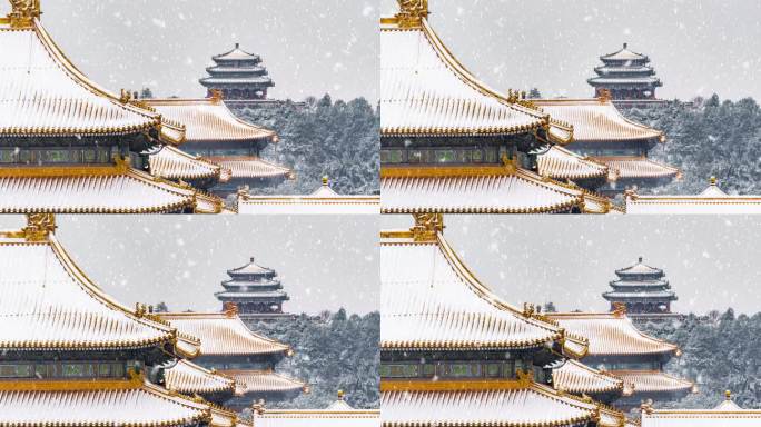雪中故宫29