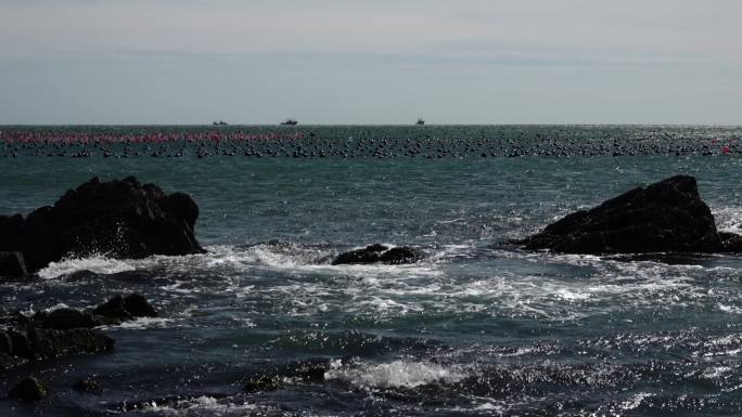 蓝色的海面大海海浪浪花被风吹散的浪花