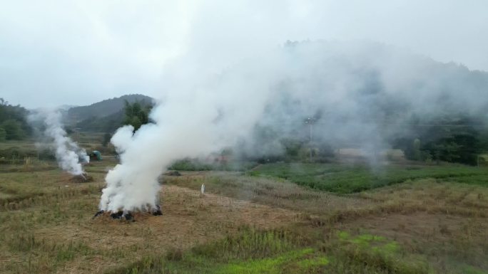 农村稻田烧田坎稻草麦秆浓烟滚滚