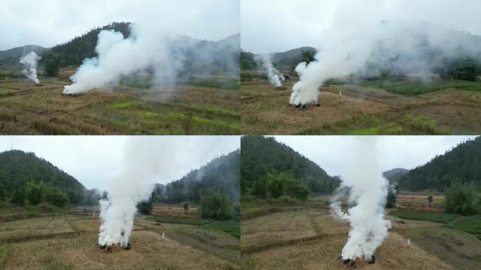 农村稻田烧田坎稻草麦秆浓烟滚滚