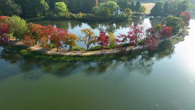 航拍南京中山陵前湖公园秋季景色