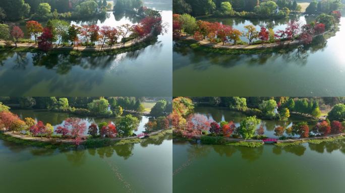 航拍南京中山陵前湖公园秋季景色