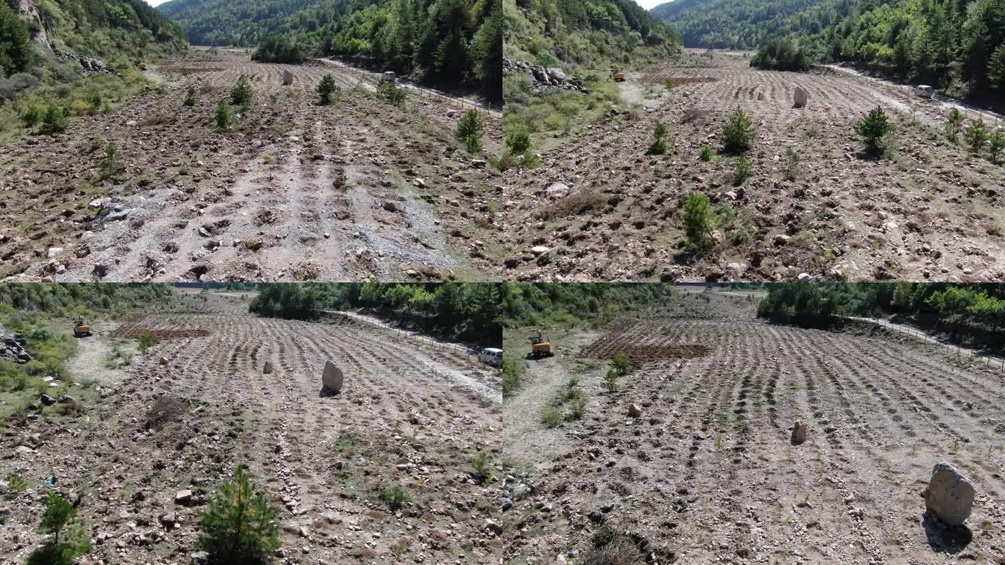 苗圃建设