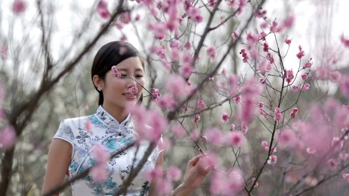 亚洲美女中国风美女桃花