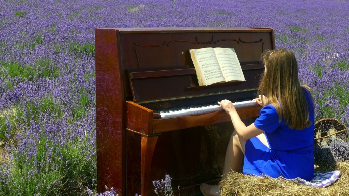 在薰衣草地里弹钢琴的年轻女子