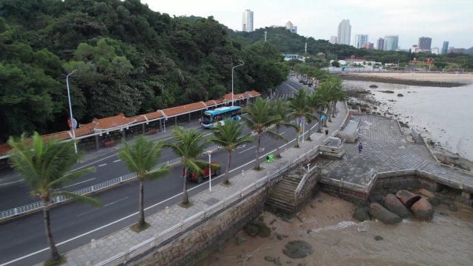 沿海公路上的汽车