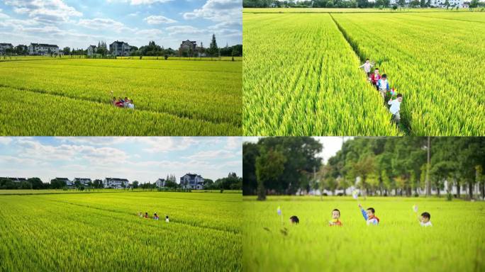 【4K】原创儿童开心在稻田奔跑小风车农村