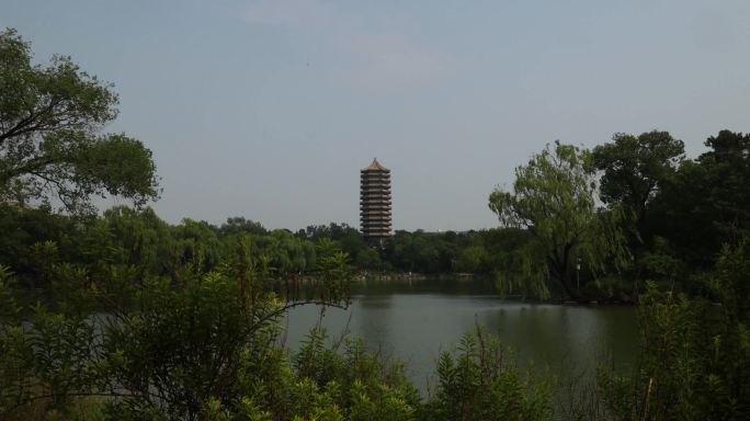 北京大学 北大延时 博雅塔 未名湖延时