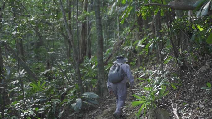 护林员森林公园里巡山搜山搜救