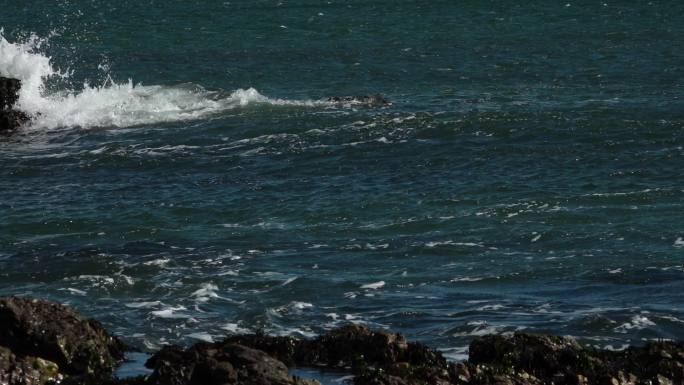 蓝色的海面大海海浪浪花被风吹散的浪花