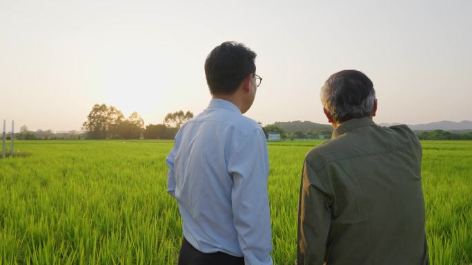 田间地头