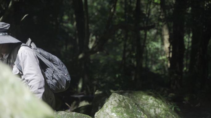 护林员在国家森林公园里行走巡山搜救