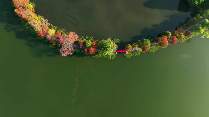 航拍南京中山陵前湖公园秋季景色