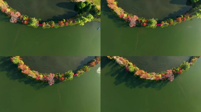 航拍南京中山陵前湖公园秋季景色