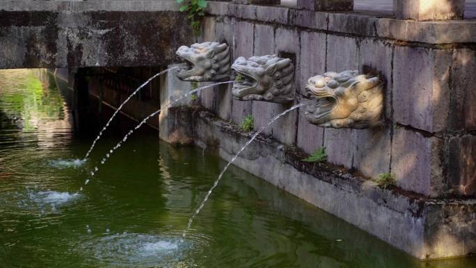 景观池龙头吐水