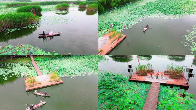 航拍湖北洪湖，洪湖水浪打浪表演，荷花素材