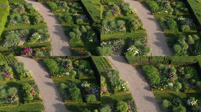 无人机拍摄的鸢尾花花园