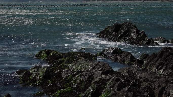 蓝色的海面大海海浪浪花被风吹散的浪花