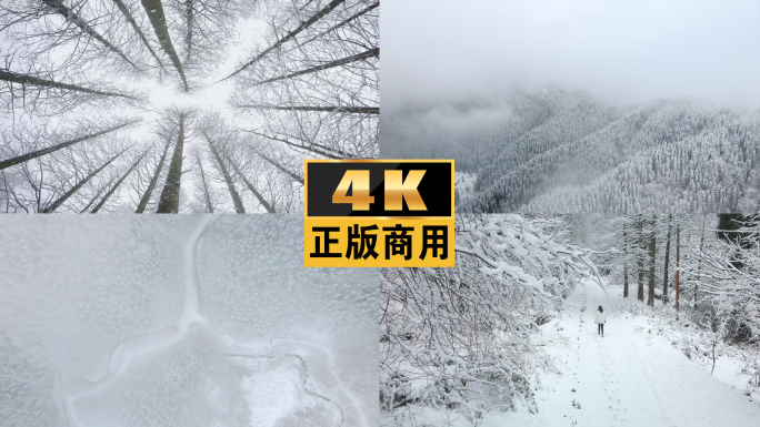 雪白露寒露立冬冬至森林大雪小雪雪景冬天雪