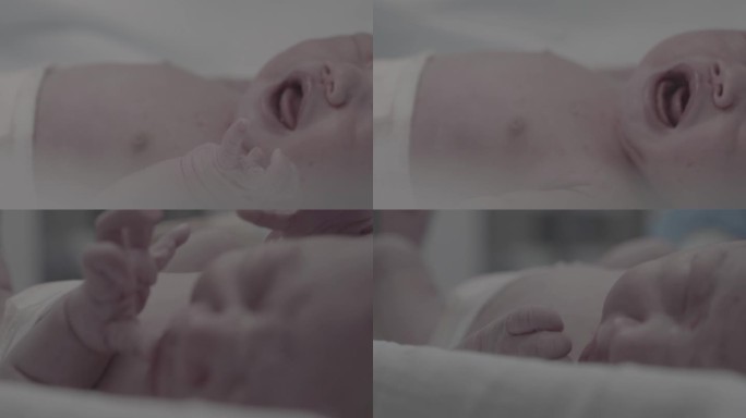 一组新生儿出生的镜头