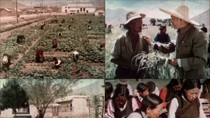 五六十年代西藏藏民生活场景