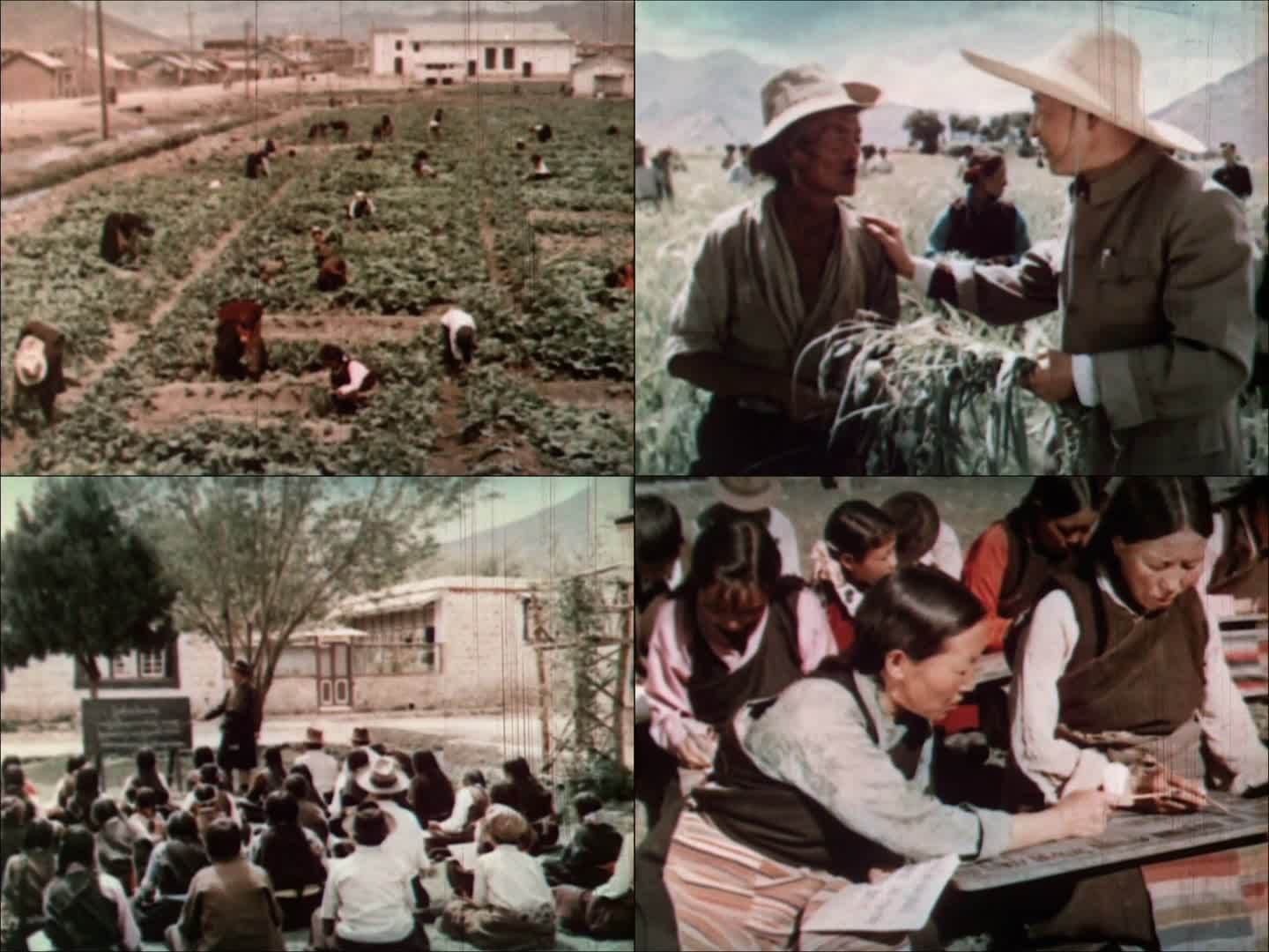 五六十年代西藏藏民生活场景