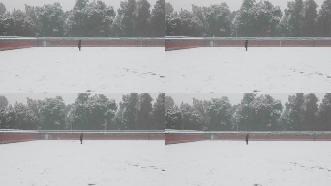 【原创】大雪中的天坛公园圜丘拍雪景的游客
