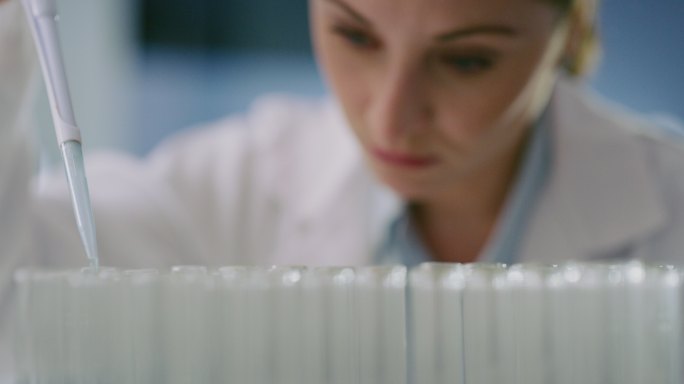 科学家在实验室里用微量吸管分析样本的特写镜头。研发新冠疫苗的技术人员