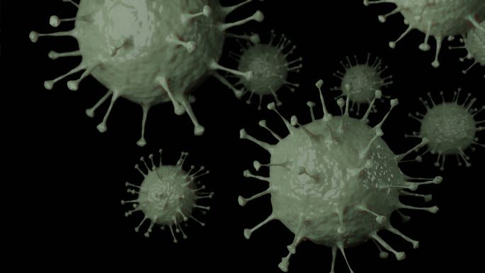 在α层黑色背景上传播2019冠状病毒或新冠肺炎的3d渲染运动显微镜图示