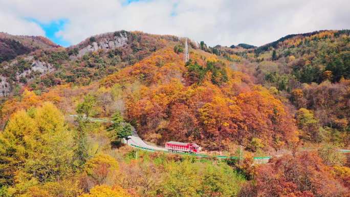 林区秋景（调色素材）