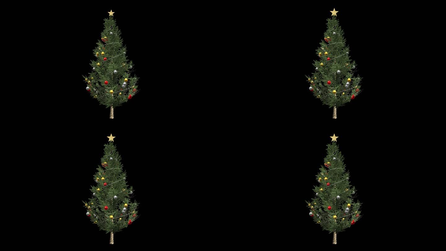 生长的圣诞树带透明通道