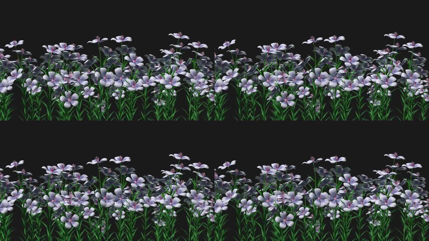 花朵循环动画